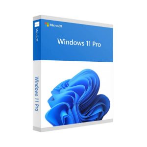 Τα Windows 11 Professional διαθέτουν εύχρηστα εργαλεία που μπορούν να σας βοηθήσουν να βελτιστοποιήσετε τον χώρο της οθόνης σας και να μεγιστοποιήσετε την παραγωγικότητά σας.